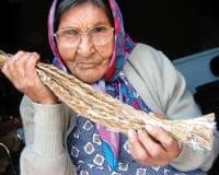 Tłı̨chǫ Way of Life