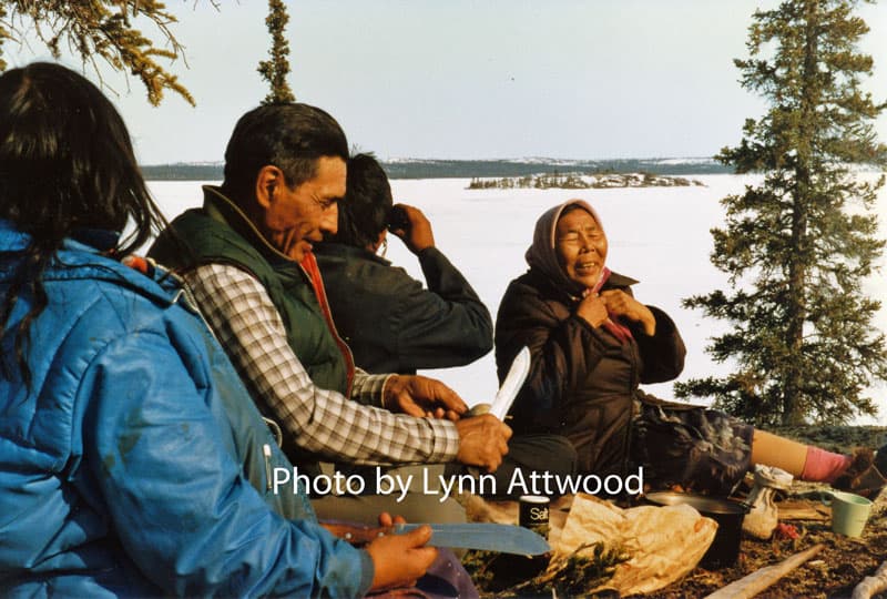 Lynn Attwood Photos 2 of 3