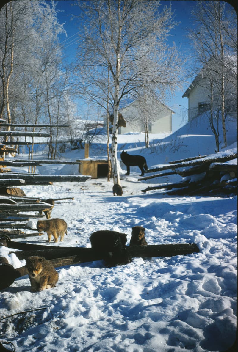 St. Michaelâ€™s Parish One