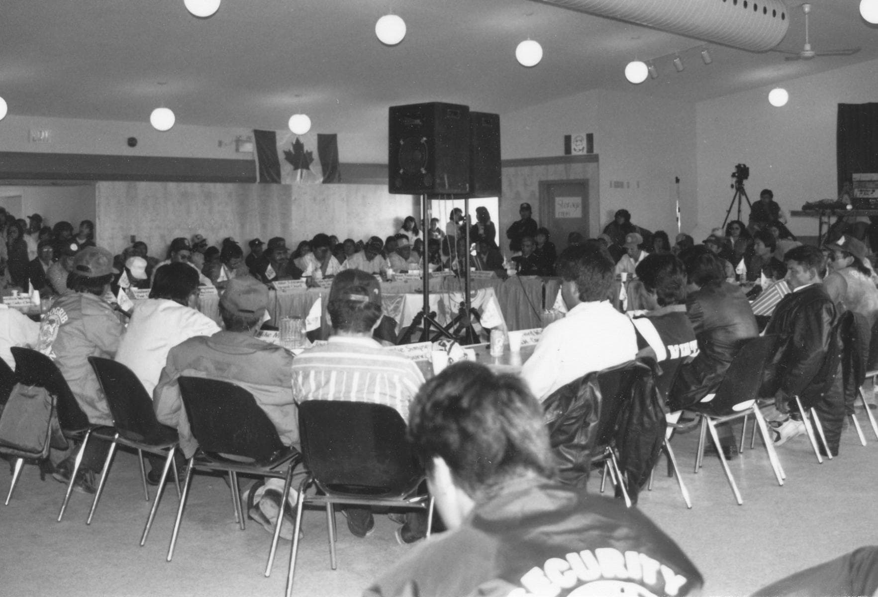 The Tłı̨chǫ Constitution..